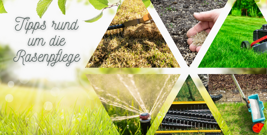 Produkte rund um die Rasenpflege entdecken Rasensaatgut Rasendünger Rasenpflege Gartengeräte Gartendeko Samen 