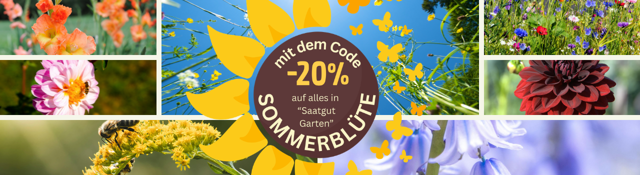 Aktion Sommerblüte 20 % Rabatt auf Alles in der "Saatgut Garten"-Kategorie