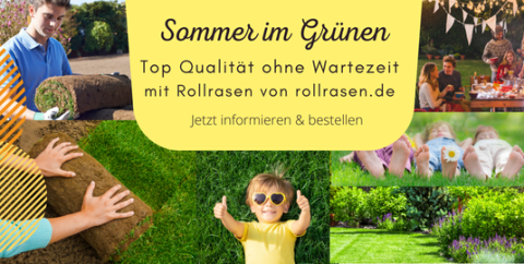 Was kostet Rollrasen kaufen bestellen Angebot erstellen