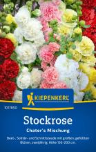 Stockrose "Chater's Mischung"