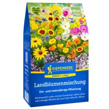 Landblumen-Mischung für 40m²