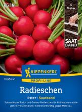Radieschen 'Ester' (Saatband)