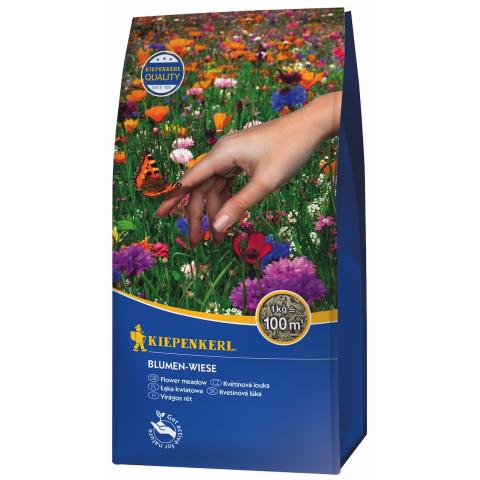 Bunte Blumenwiese