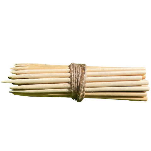Rasennägel