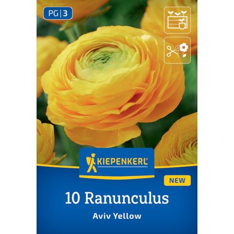 10 Ranunkeln 'Aviv Gelb'