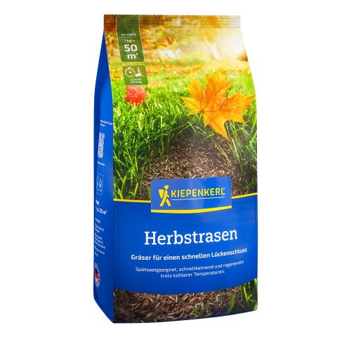Herbstrasen (schnellkeimend) 1kg für 50m²