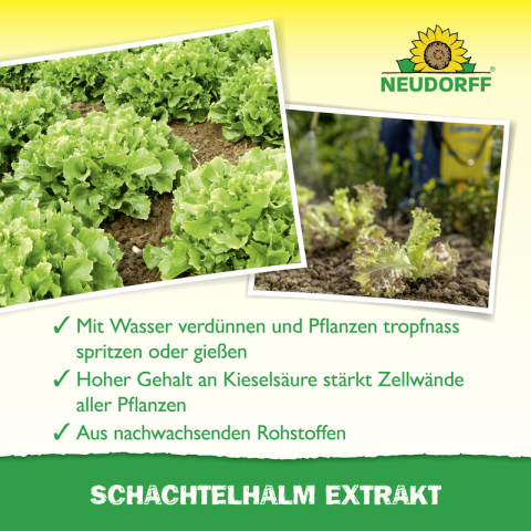 Wirkung