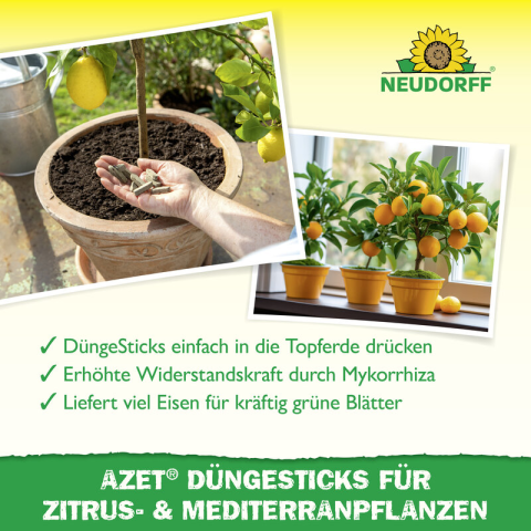 Düngesticks