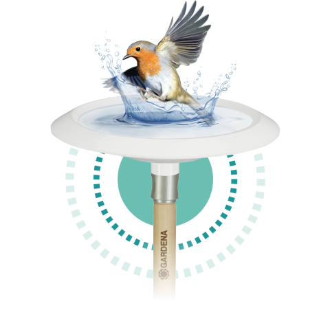Click-Up Vogelbad