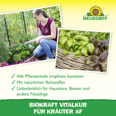Vitalkur für Kräuter