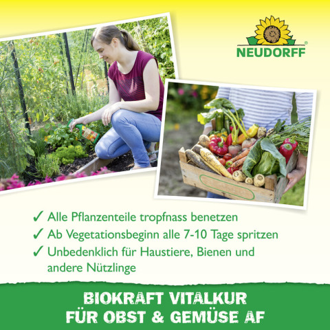 Vitalkur Obst/Gemüse