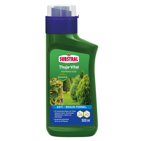 Thuja-Vital