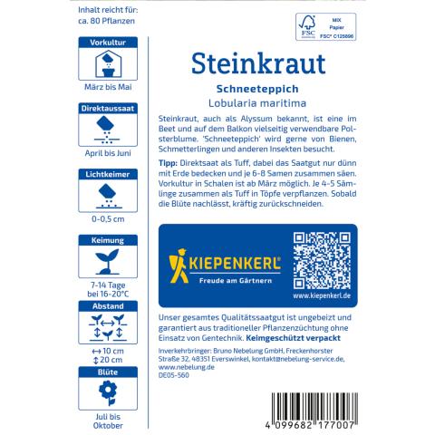 Steinkraut "Schneeteppich"