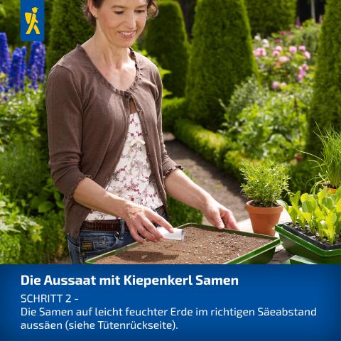 Schritt 2