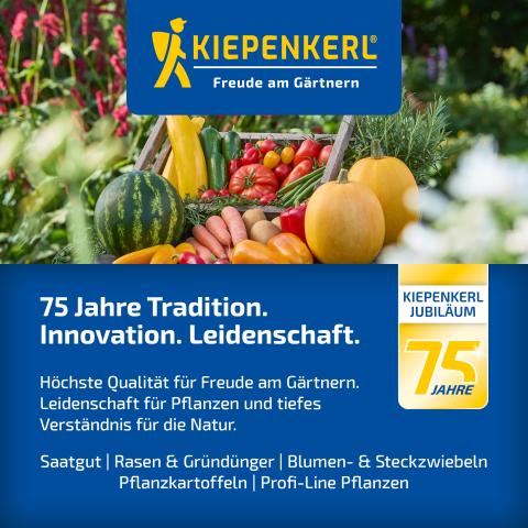 Böschungsansaat mit Klee 10kg