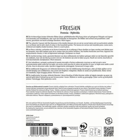 10 Freesien 'Gefüllter Mix'