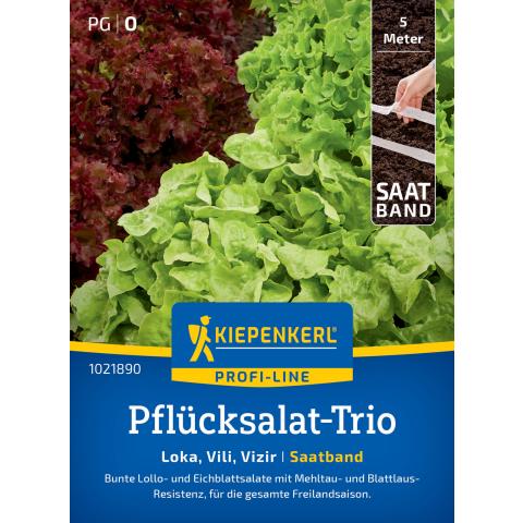 Pflücksalat-Trio "Loka, Vili, Vizir" (Saatband)