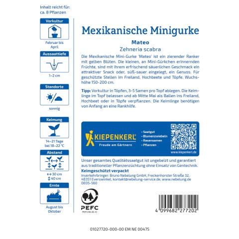 Mexikanische Minigurke "Mateo"