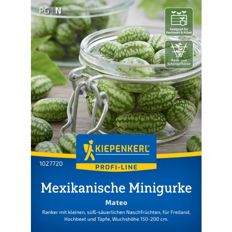 Mexikanische Minigurke "Mateo"
