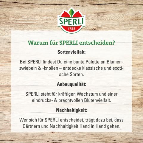 10 Freesien 'Gefüllter Mix'
