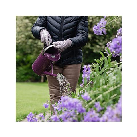 Beispiel Anwendung Kanne Kent&Stowe violett 4,5 l