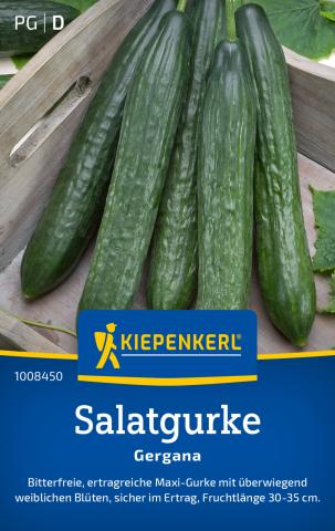 Saatgut Salatgurken 