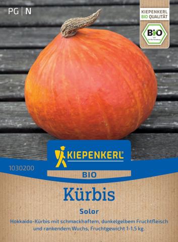 Bio-Saatgut Hokaido-Kürbis 