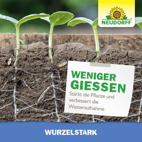 Wurzelstark