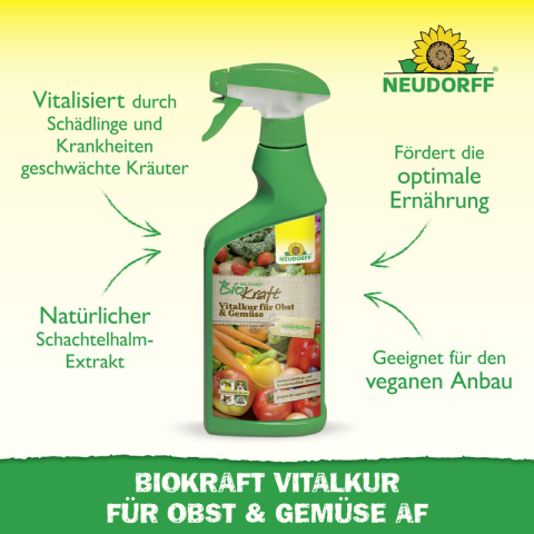 Vitalkur Obst/Gemüse