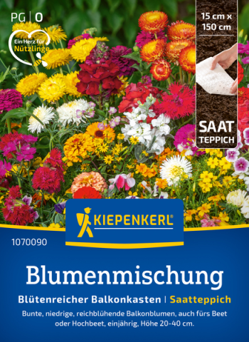Blütenreicher Balkonkasten