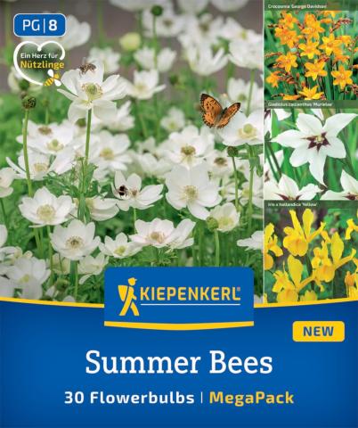"Summer Bees" (30 Blumenzwiebeln)