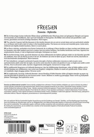 10 Freesien 'Gefüllter Mix'