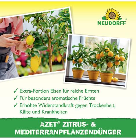 Azet® Zitrus- & Mediterranpflanzen-Dünger