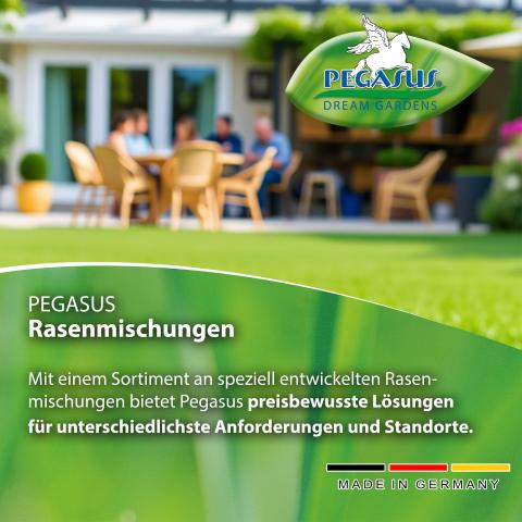 Berliner Tiergarten Rasen-Saatgut ab 1kg